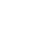 Multiscope