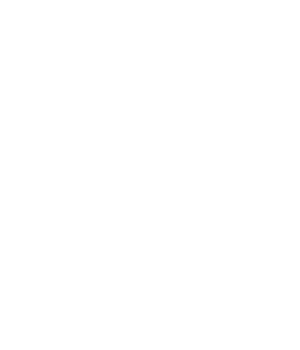 Multiscope